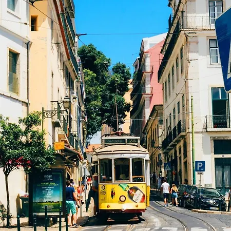 Alfama Comfy